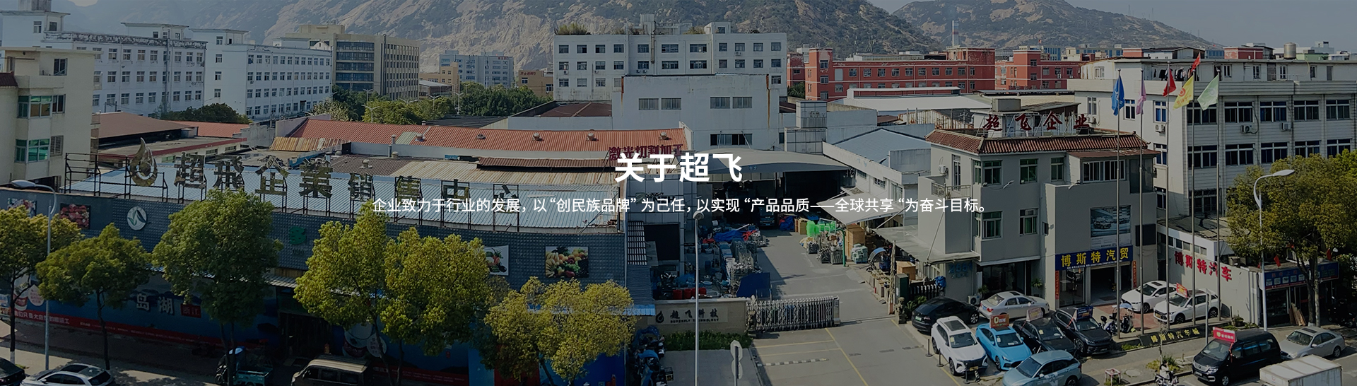 衛(wèi)生級(jí)止回閥，快裝閥門(mén)廠(chǎng)家